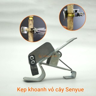 Dụng cụ khoanh vỏ điều tiết sinh trưởng cây Senyue, kẹp khoanh vỏ cây chuyên dụng vừa khoanh vừa bóc không đau tay