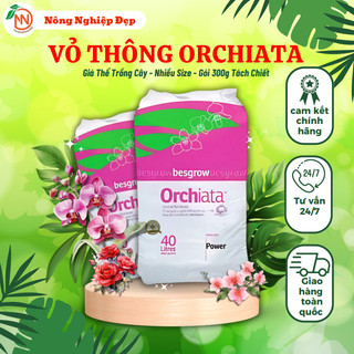Vỏ thông orchiata newziland - gói 300g