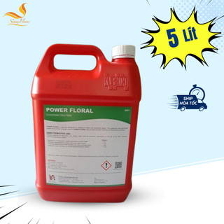 Nước lau sàn khử mùi diệt khuẩn POWER FLORAL can 5L Klenco Singapore