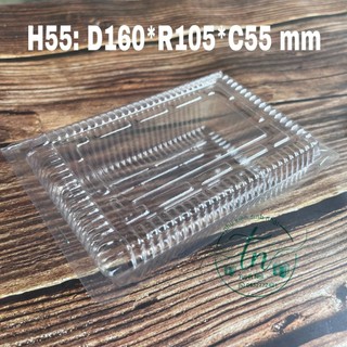 100 hộp H55 đựng thực phẩm