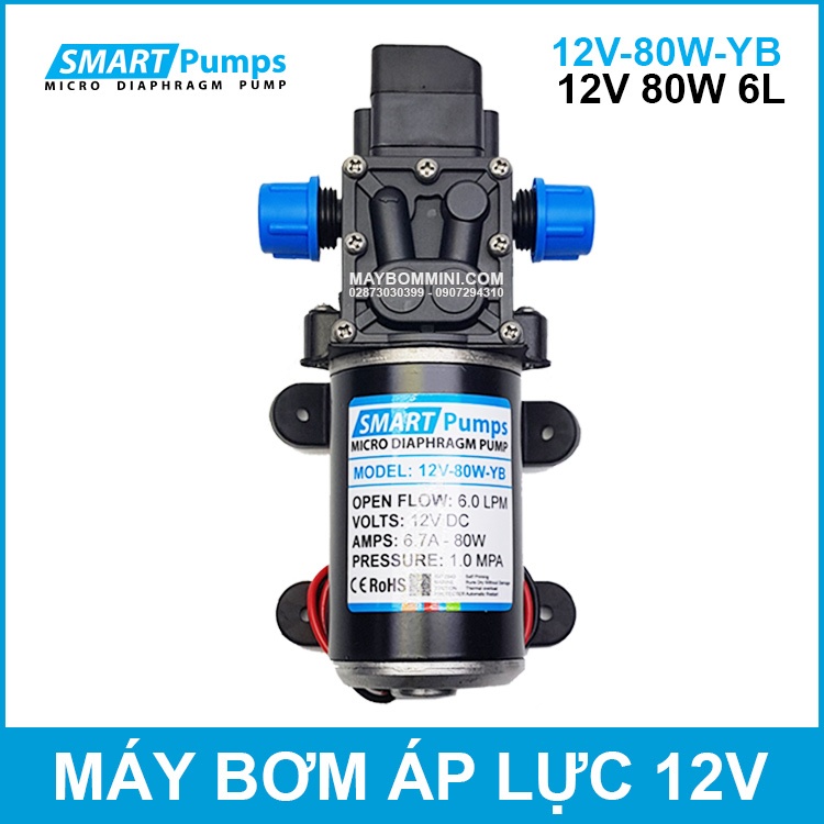 Bơm Nước Mini Áp Lực 12V 80W