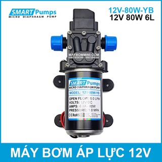 Bơm Nước Mini Áp Lực 12V 80W