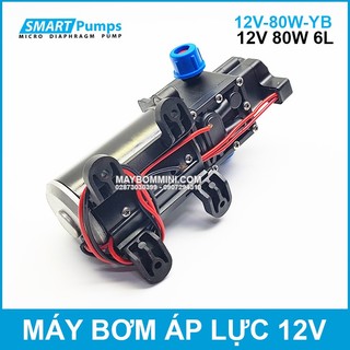 Bơm Nước Mini Áp Lực 12V 80W