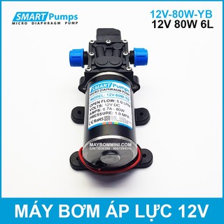 Bơm Nước Mini Áp Lực 12V 80W