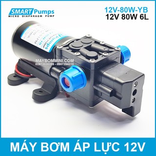 Bơm Nước Mini Áp Lực 12V 80W