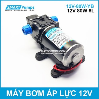Bơm Nước Mini Áp Lực 12V 80W