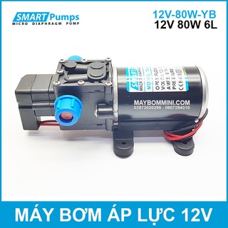 Bơm Nước Mini Áp Lực 12V 80W