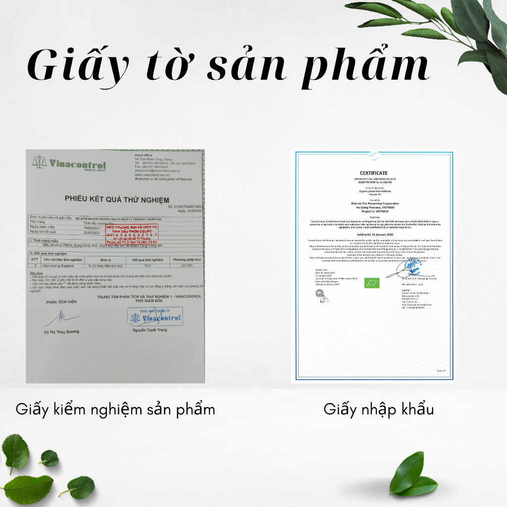 Nước hoa vùng kín nữ AMY 5ml thơm lâu khử mùi cho cô bé