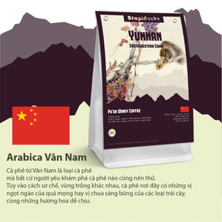Cà phê Arabica Phổ Nhĩ Vân Nam Trung Quốc Winey Natural - Stupiducks Specialty Coffee