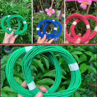 Dây xanh buộc uốn cây cảnh