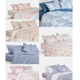 Ga gối "chân trời mới" everon size 120*200