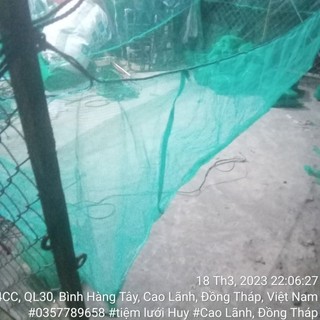Vèo nuôi ốc,cá lưới xanh 2li