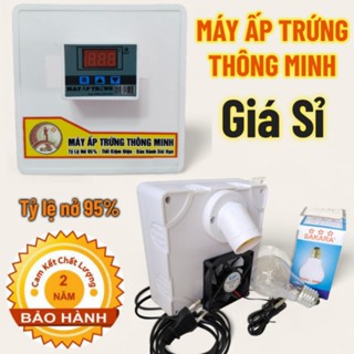 Máy ấp trứng thông minh - Giá sỉ BH 2 Năm
