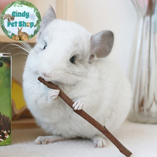 Cành gỗ táo mài răng 100g cho Hamster, Sóc Bông, Sóc Đất, Sóc Bay Úc, Sóc Chuột,..