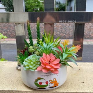 Chậu Hoa Sen đá nhựa cao cấp sang trọng - Hoa giả - Cắm sẵn