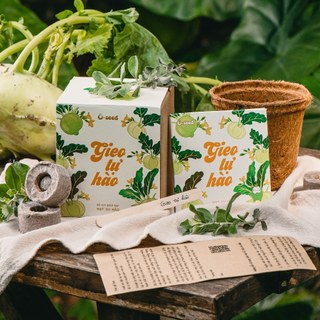 Bộ kit trồng cây gieo hạt - Hạt su hào - Gieo Tự hào