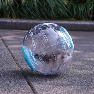 Bóng chạy mika hamster