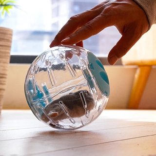 Bóng chạy mika hamster
