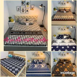 Bộ ga gối 3 món poly cotton, bộ drap ga giường mẫu đẹp