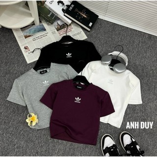 Áo thun nữ croptop in chữ A hàng QCL1