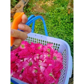 NƯỚC HOA HỒNG HANDMADE