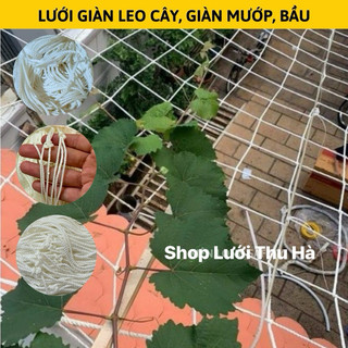Lưới Chắn cầu thang lưới giàn leo