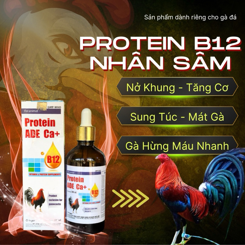 100ml Protein ADE b12 cao cấp cho gà chiến