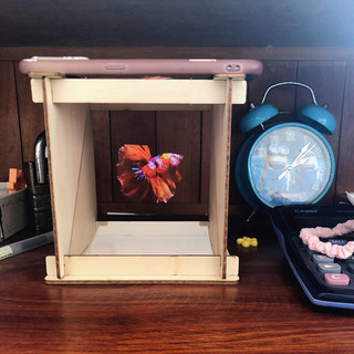 Hộp chiếu phim 3D Hologram, hộp gỗ chiếu phim 3d, đồ chơi lắp ghép an toàn