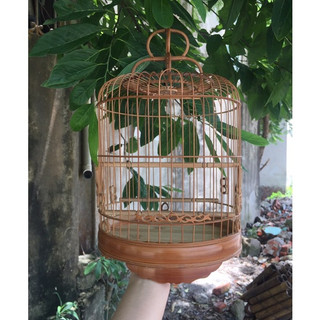 [HOT] Lồng khuyên dáng lùn polung xử lí 3 cầu size 22cm chất liệu trúc xử lí birdcages