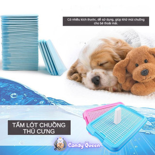 Tã lót vệ sinh chó mèo thú cưng tấm lót khử mùi siêu thấm chuồng dạng miếng