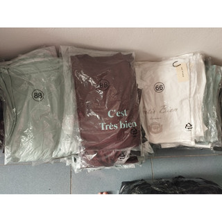 áo cotton xuất  Hàn