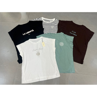 áo cotton xuất  Hàn