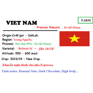 SPECIAL COFFEE  - HẠT - 2 TÚI 250 GRAM (Gross Weight) - ROBUSTA SẺ SƠ CHẾ HONEY - LÊ KIÊN FARM/TAMBA FARM..