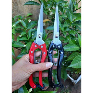 kéo tỉa răm tỉa lá 24cm siêu sắc ,dụng cụ bon sai cây cảnh làm vườn làm