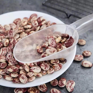 Muôi xúc bột nhựa