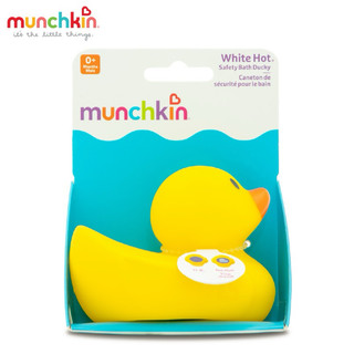 Vịt vàng báo nóng munchkin