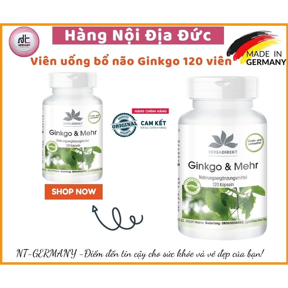 Ginkgo bổ não 120 viên ( Warnke Ginkgo Mehr )