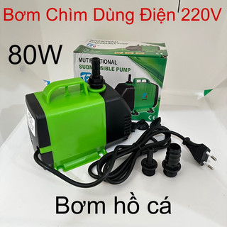 Máy bơm chìm dùng điện 220v 80w sử dụng cho hồ cá, hòn non bộ