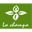 Tinh Dầu Hoa Lài Jamine Oil