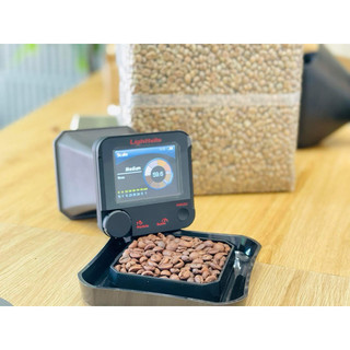 Fine Robusta Anaerobics Natural