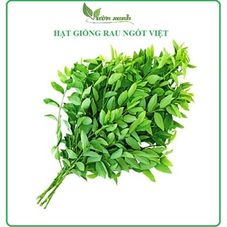 Hạt giống rau ngót Việt HN gói 1gr đẻ nhánh khỏe, nhiều ngọn