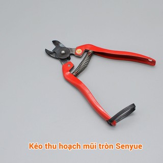 Kéo cắt cuống thu hoạch trái cây, làm vườn, cắt cành, tỉa lá mũi tròn Senyue