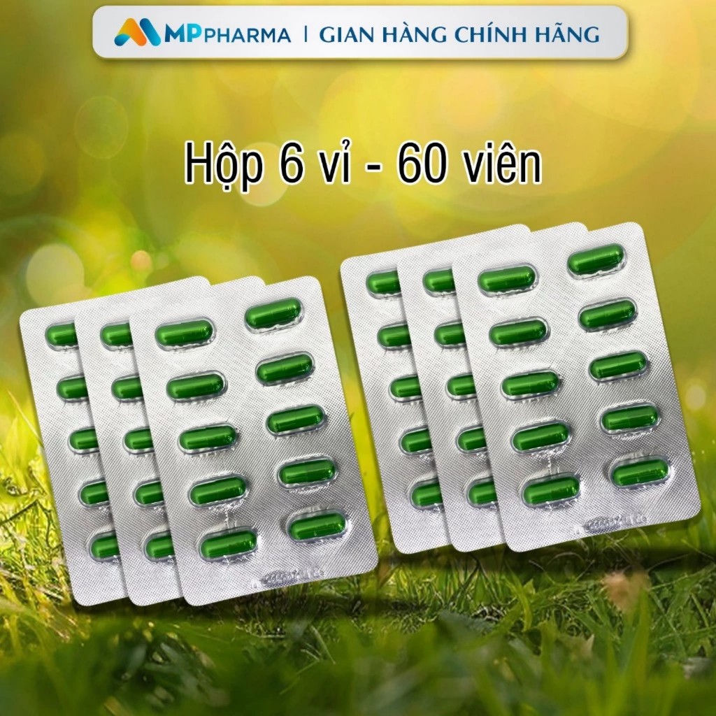 [Mẫu mới 2024] GIẢI ĐỘC Gan Cà Gai Leo Xạ Đen ,thải độc gan, hạ men gan , thanh nhiệt, giảm mụn....