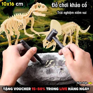 Đồ Chơi Đào Hoá Thạch Khủng Long Khảo Cổ Khám Phá Vui Nhộn Cho Bé