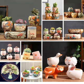 Chậu Trồng Sen Đá Mini Gốm Sứ 50 Mẫu Thích Hợp Với Nhiều Loại Cây Cảnh Xương Rồng Cây Văn Phòng Trang Trí Bàn Làm Việc