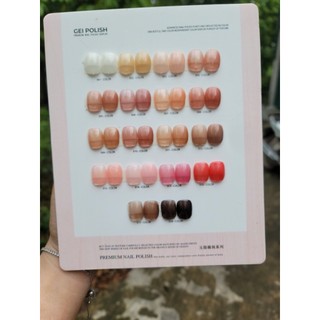 Set 18 màu THẠCH VERYGOOD NAIL[TẶNG  BẢNG TRỐNG KHÔNG MÓNG]