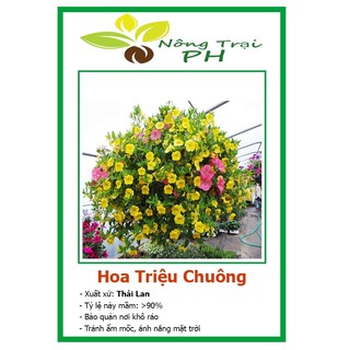 Hạt Giống Hoa Triệu Chuông F1