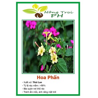 Hạt Giống Hoa Phấn F1 dễ trồng