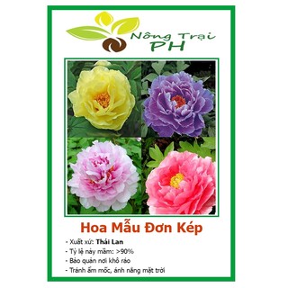 Hạt giống hoa mẫu đơn kép thái mix 7 màu loại f1