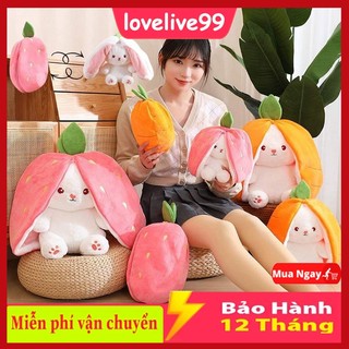  ⭐2 in 1 Thỏ Nhồi Bông Tai Dài- Thỏ Quả Bông Trái Cây Cosplay Dâu Và Cà Rốt Quà Tặng Dễ Thương 